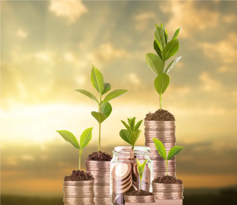 Victorian Energy Upgrades Program benefits